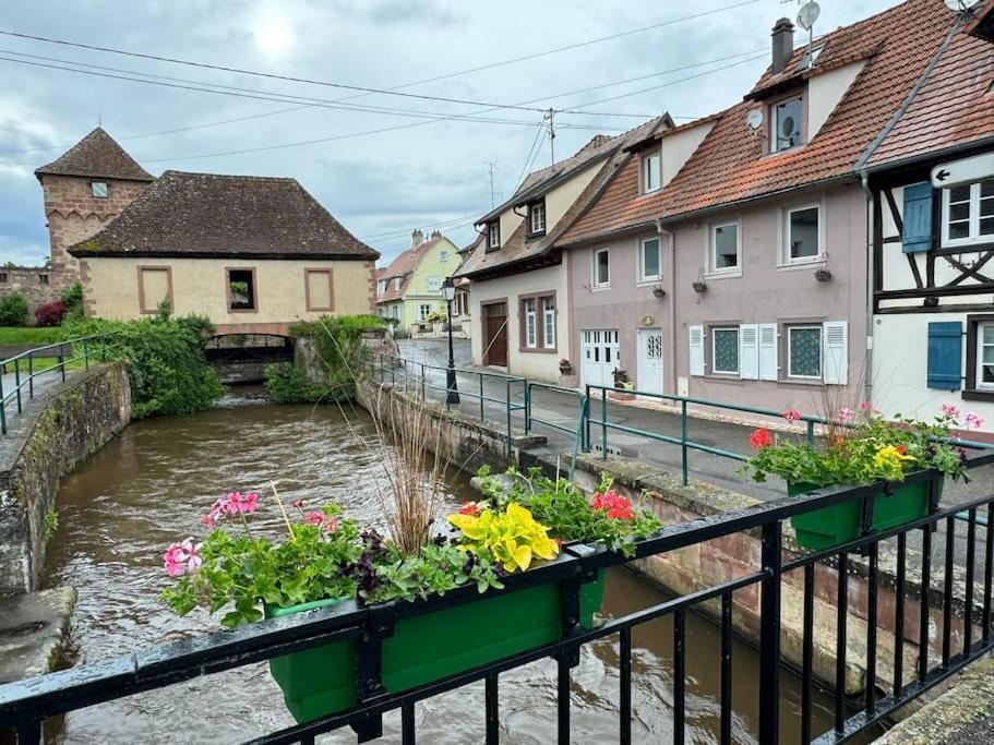 Villa Au Bord De L'Eau à Wissembourg Extérieur photo